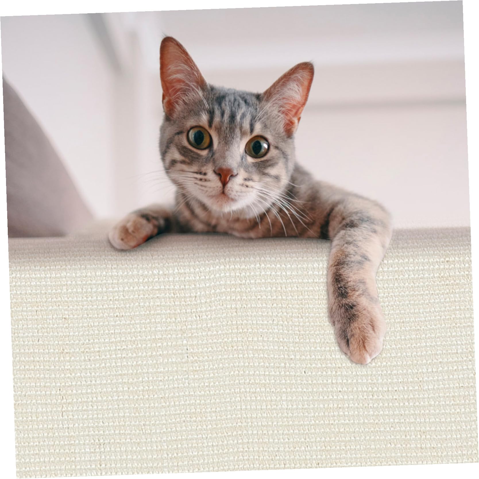 Tofficu Funda Protectora de Sisal para Sofá contra Arañazos de Gatos, Entretenida y Resistente para Hogar y Tienda, Adecuado para Proteger Muebles
