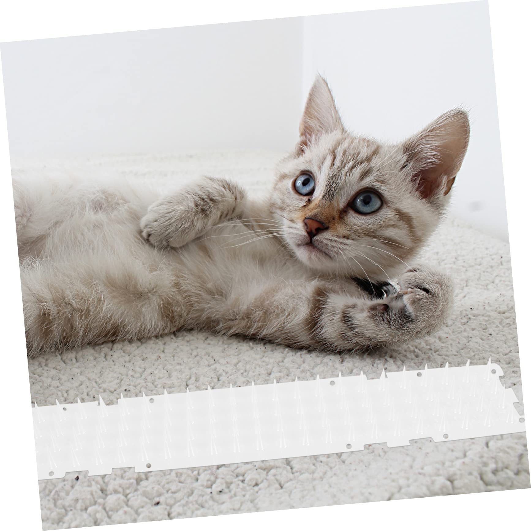 Katzenmatte mit Dornen Langlebige Kunststoff Spikematte für Balkon und Garten Anti Katzen Schutz Tierabwehrend für Pflanzen und Blumentöpfe