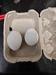 Buy Amazon Basics Electric Egg Boiler | 3 Boiling Modes | Automatic ...