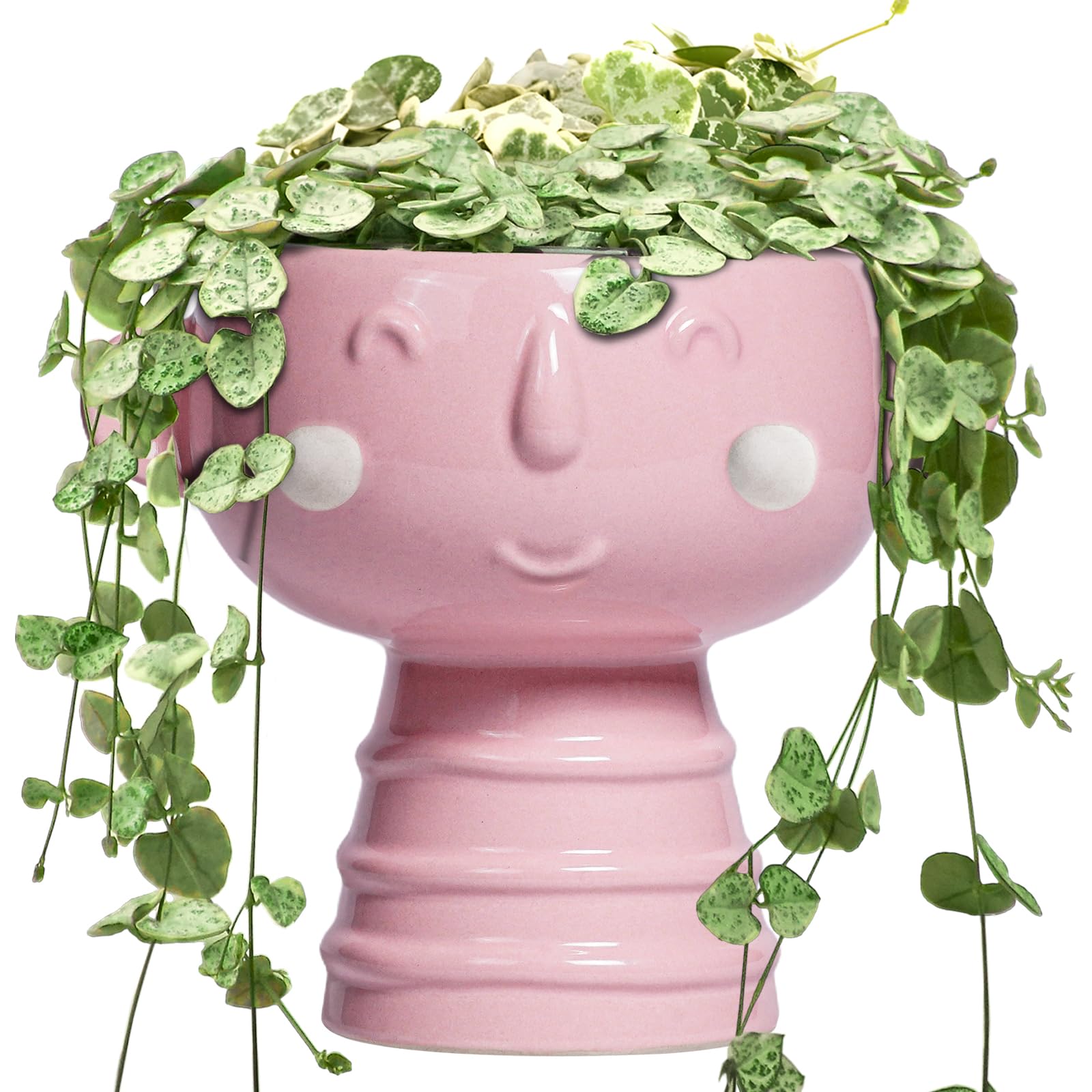 Fivepot Smiley Face Planter