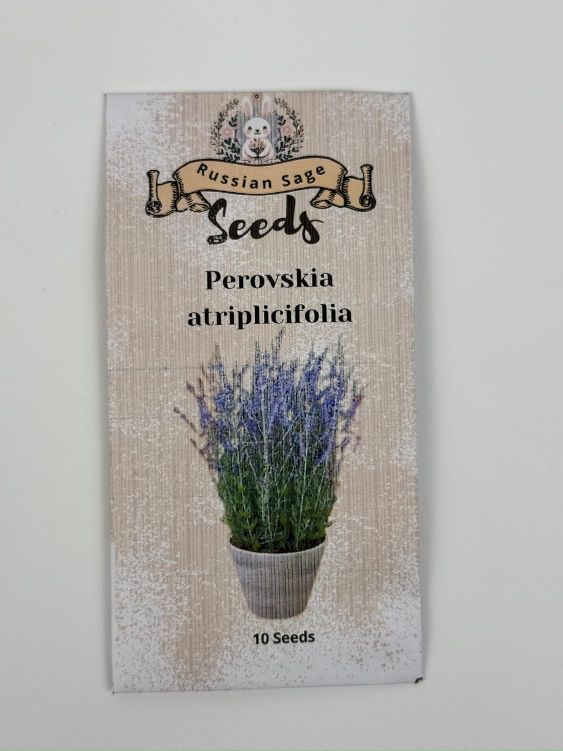 Russian Sage Seeds - Pack of 10 Seeds | Seeds Paper for Beautiful Purple Blooms | Perfect for Garden Borders & Pollinator-Friendly | Perennials (Russian Sage Seeds Paper)
