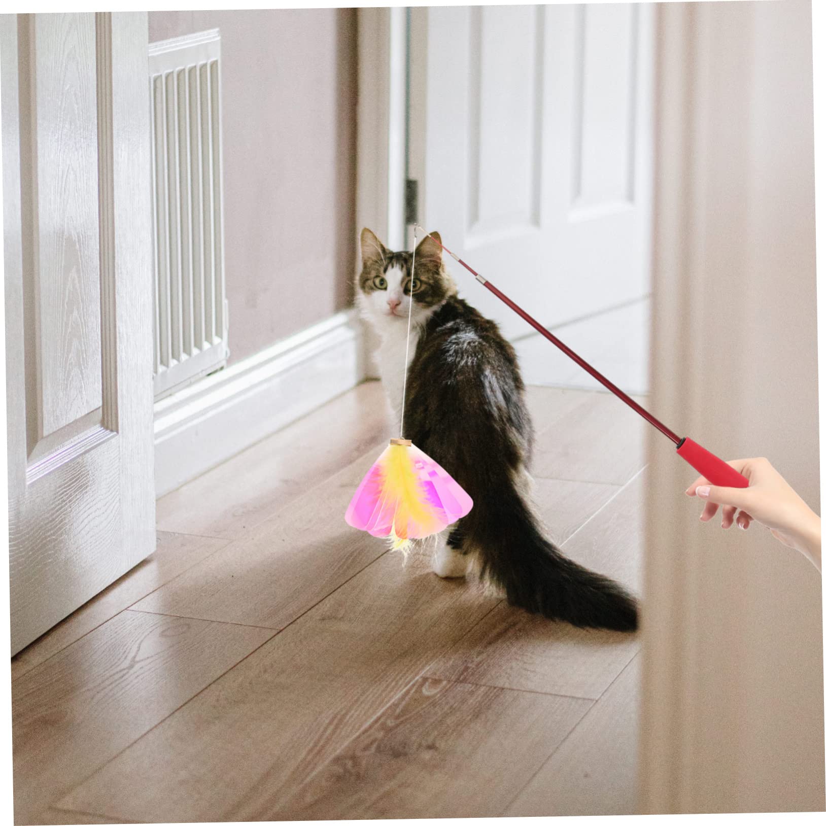Milisten 24stücke Katzenangel Ersatzset Teiliges Katzenspielzeug Mit Bunten Federn Und Glitzer Interaktives Spielzeug Aktivität Und Neugierde Von Katzen Leicht Und Flexibel Für