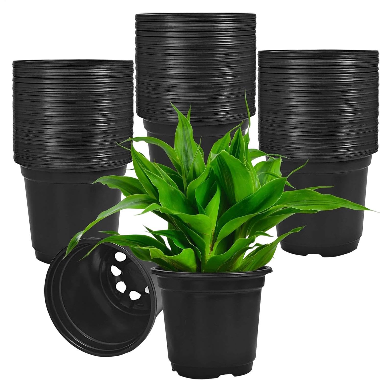 Pots de culture 10 cm avec drainage pour semis et rempotage