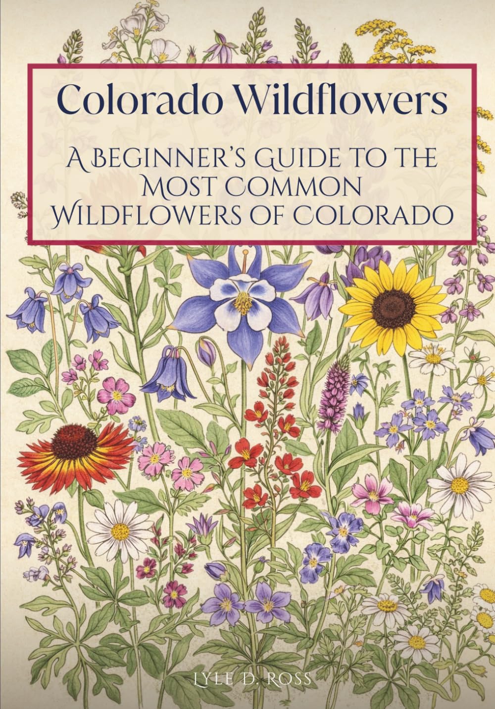 Colorado Wildflowers: A Beginner’s Guide to the Most Common Wildflowers of Colorado