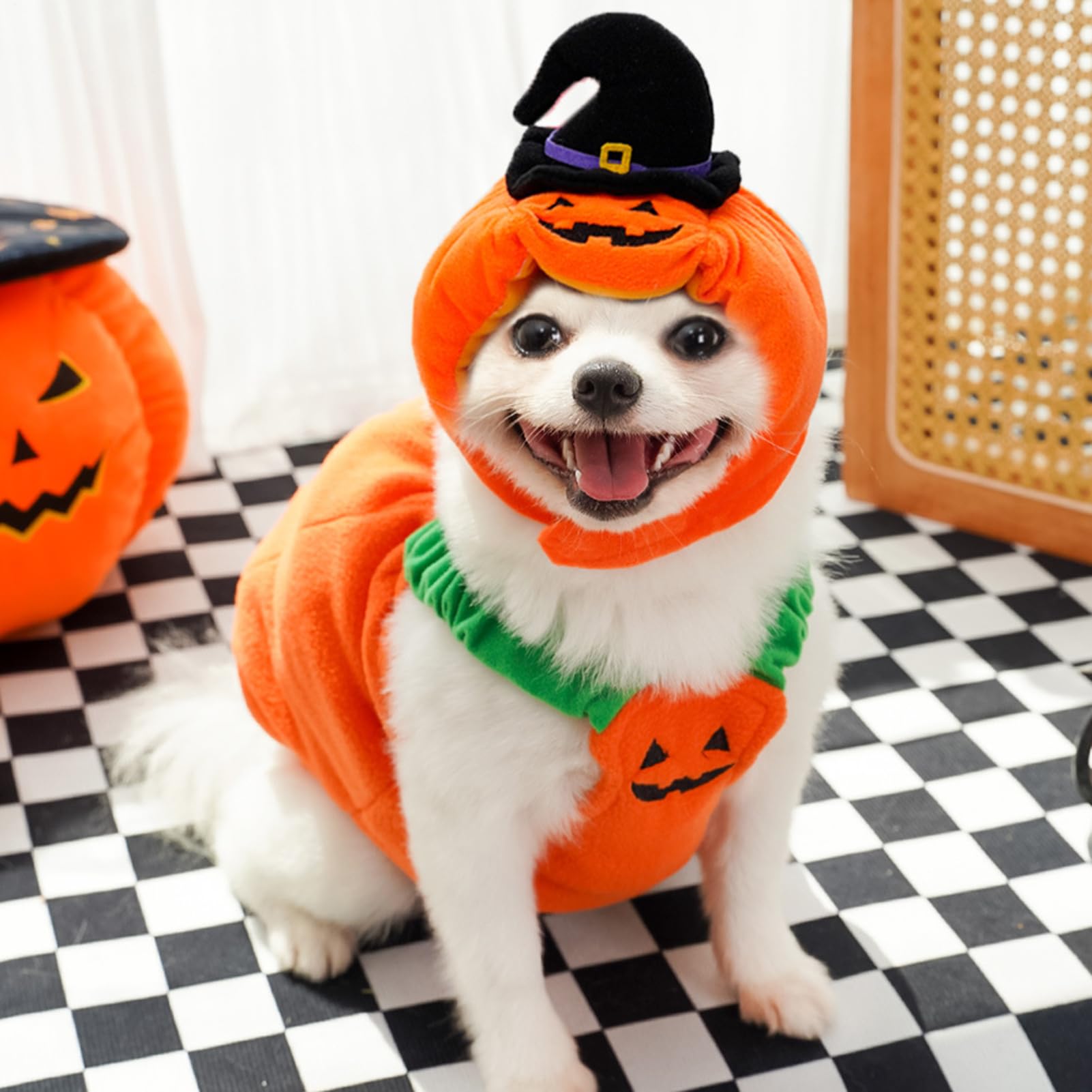 Travestimento per Cani a Forma di Cosplay Halloween Per Animali | Vestito Caldo Canino Adatto Per Feste A Tema, Sessioni Fotografiche, Passeggiate Quotidiane, Autunno E Inverno