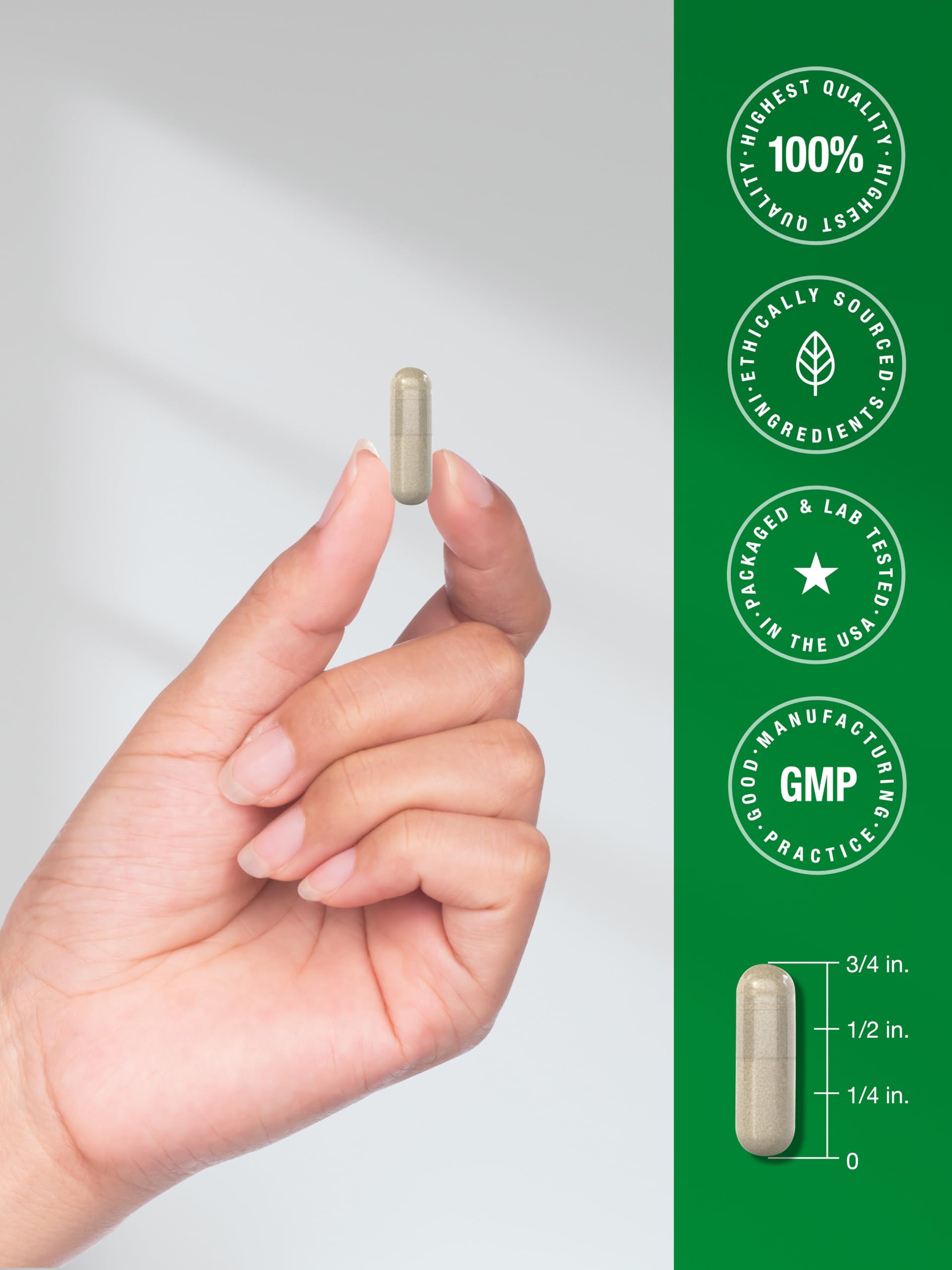 Horbäach Echinacea Extract Capsules | 300 Count — Amazon image 7