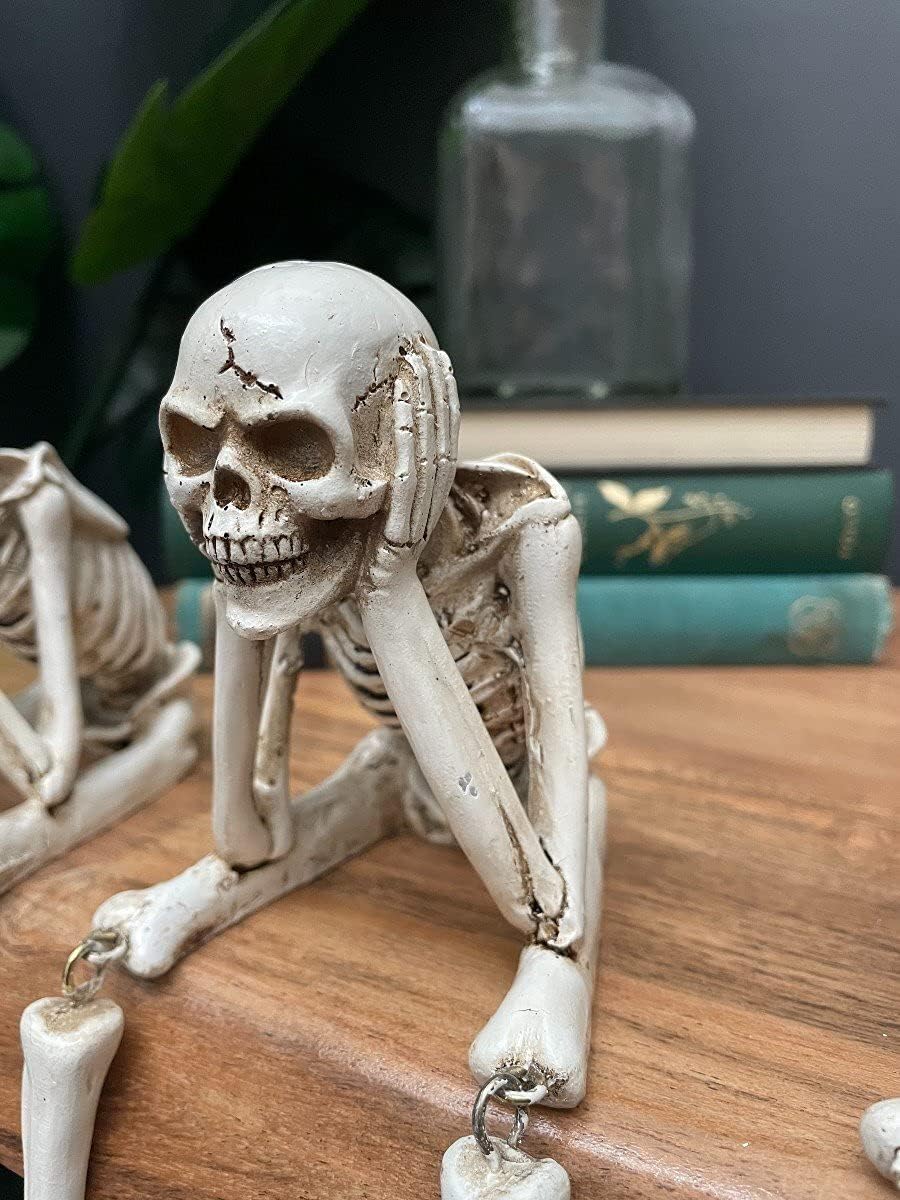 Skull Statues Set Resin Skeleton Shelf Sitters Sitting Figurines for Home Bookshelf Table Ledge Edge Decorative, Crafts Ornaments Collectibles Statues for Skeleton Lovers Halloween Decor (3Pcs)