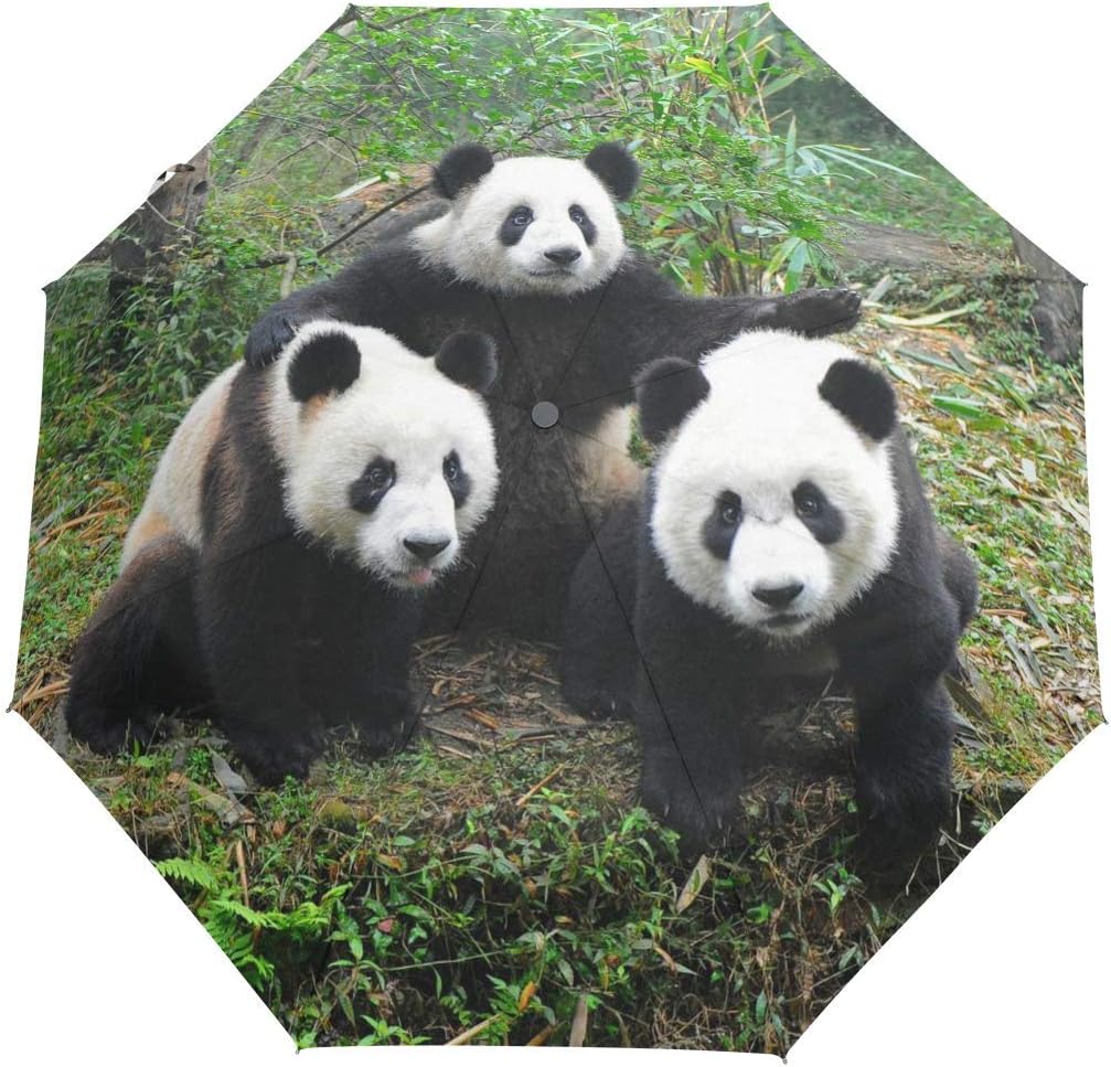 Giant Panda Pattern Windproof Travel Umbrella Auto Open Close 3 Folding Rain Umbrella UV Protection Portable