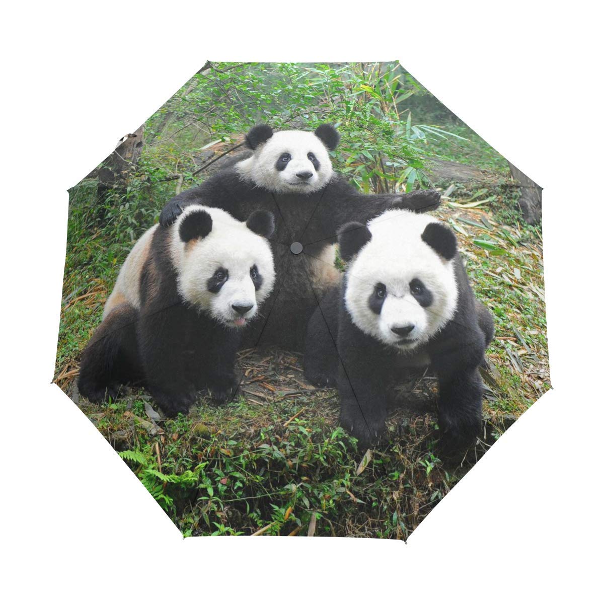 Giant Panda Pattern Windproof Travel Umbrella Auto Open Close 3 Folding Rain Umbrella UV Protection Portable