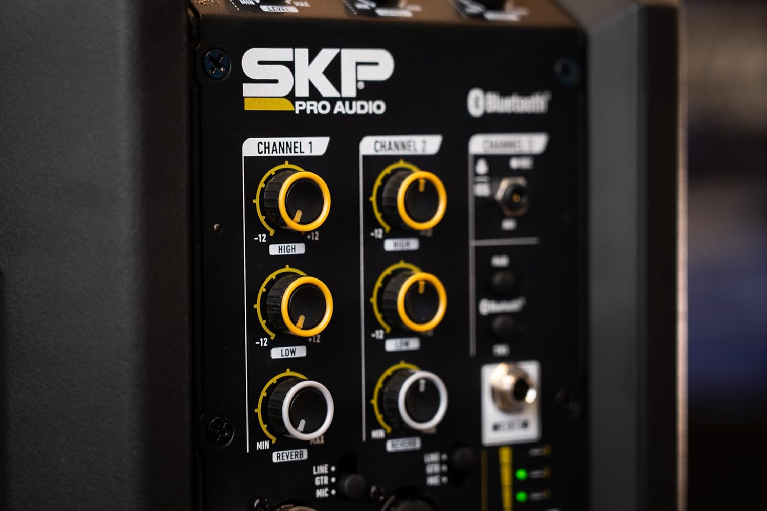 SKP Pro Audio Q1 PRO Portable Active Loudspeaker 300W with Bluetooth/Rechargeable Battery/XLR/AUX Input