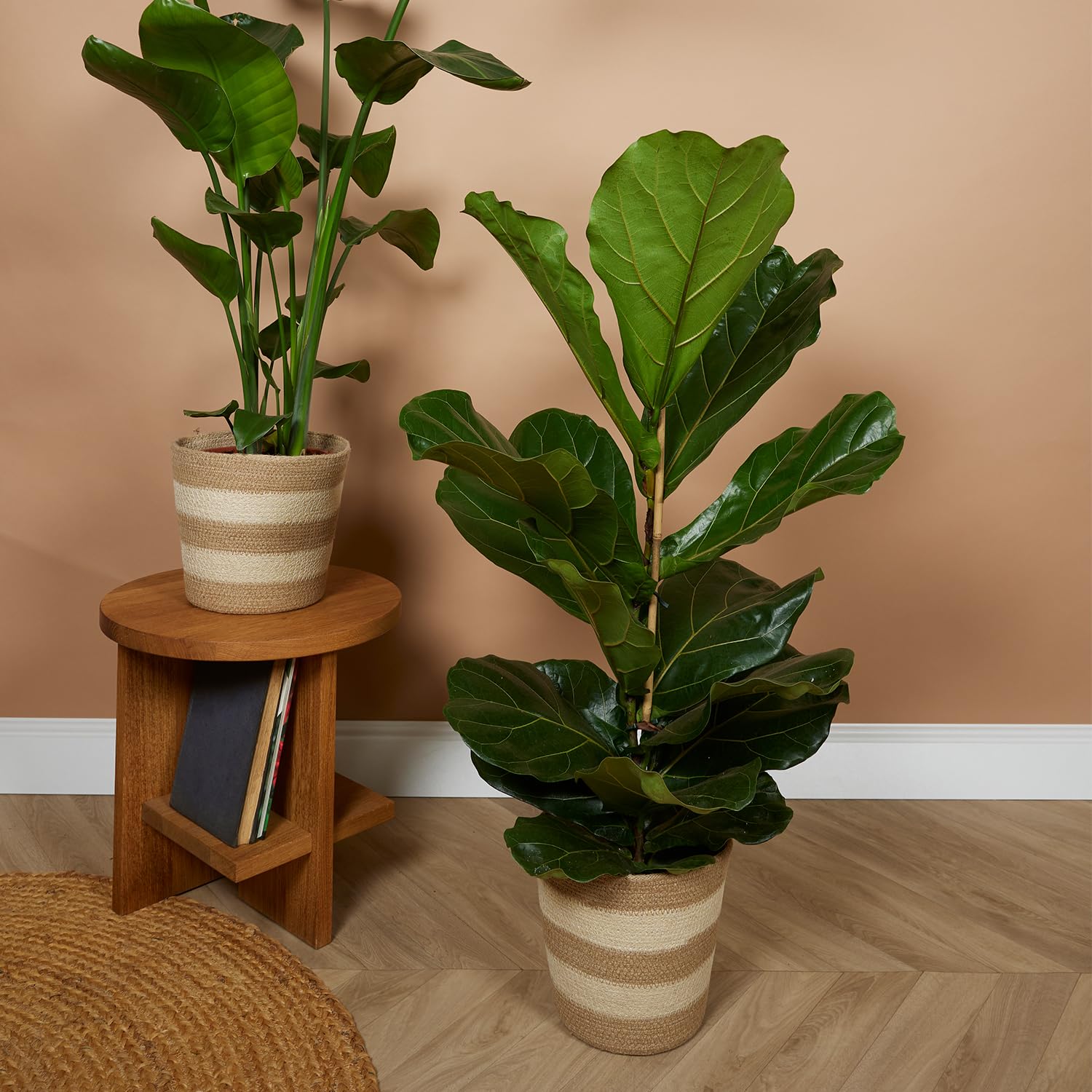 Bloomique Pot à Plantes Tressé Gaby Lot de 2 Beige Jute H22xØ21