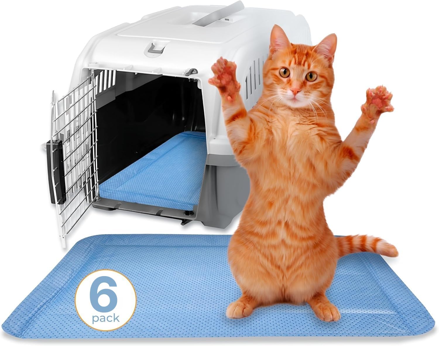 Skywin Pet Carrier Pads, 6 Pack Cat Carrier Pad Insert 19.5" x 12.5", Disposable Small Cat Carrier Liner Pad, Puppy Training Pads(Blue)