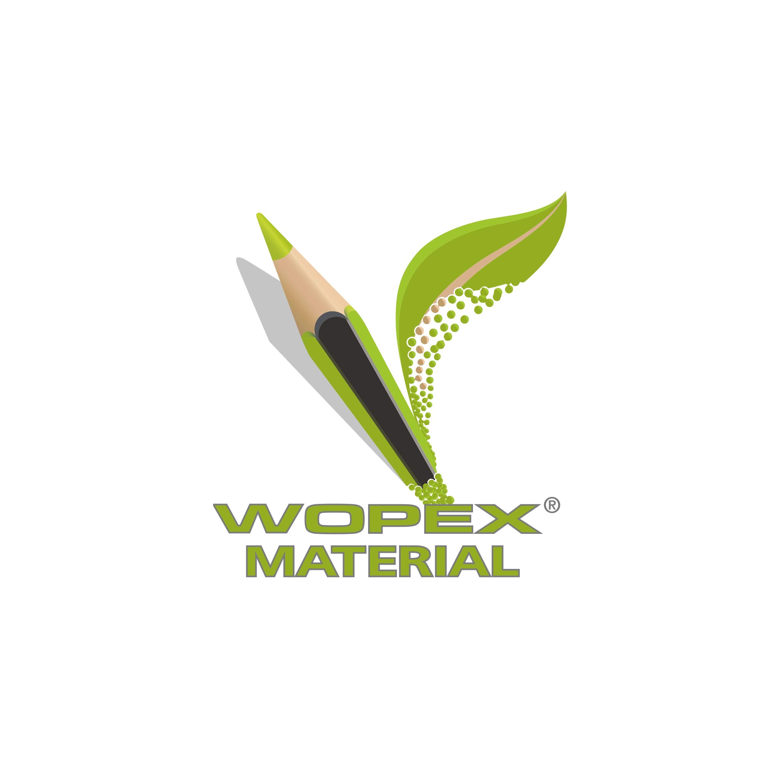 STAEDTLER Noris kolorowy kredki do kolorowania, zwiększona odporność na pękanie, trójkątny kształt, ergonomiczna miękka powierzchnia, materiał WOPEX, zestaw 288 ołówków w 12 kolorach i 6 temperówkach,