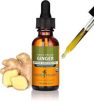 Herb Pharm Ginger Liquid Extract Organic Supplement for Digestion, Occasional Nausea Support, Fast-Absorbing Ginger Liquid, Sugar-Free Digestive Support Tincture, Up to 3 Week Supply, 1 oz*