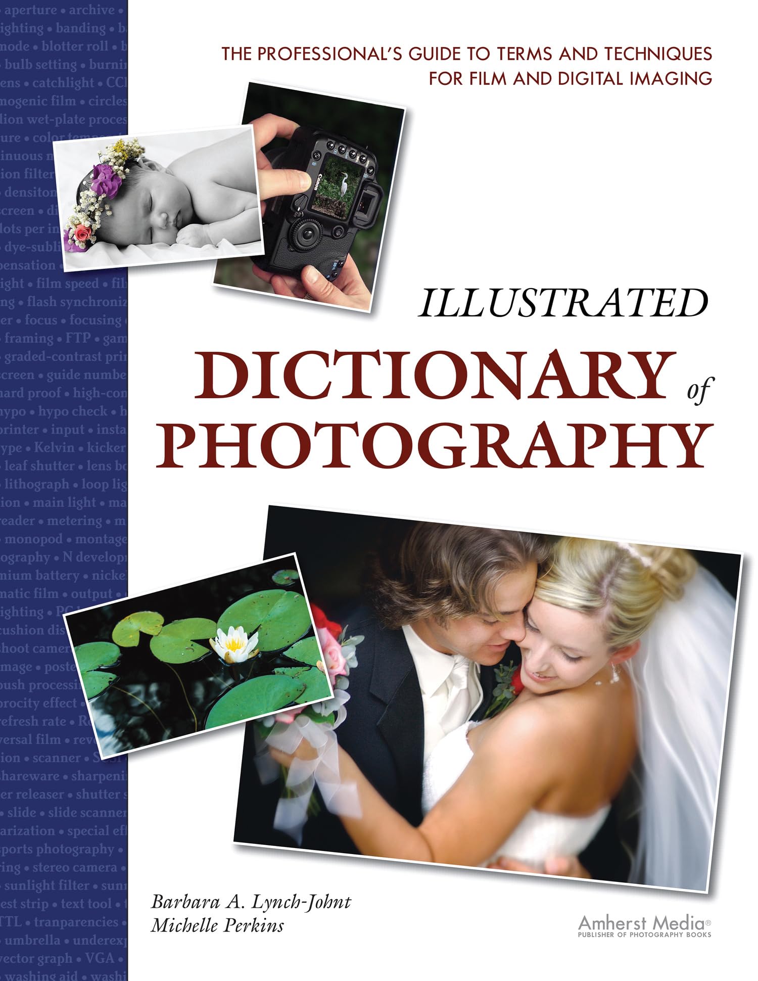 Buy Illustrated Dictionary of Photography: The Professional's Guide to Terms and Techniques — BookShops.in