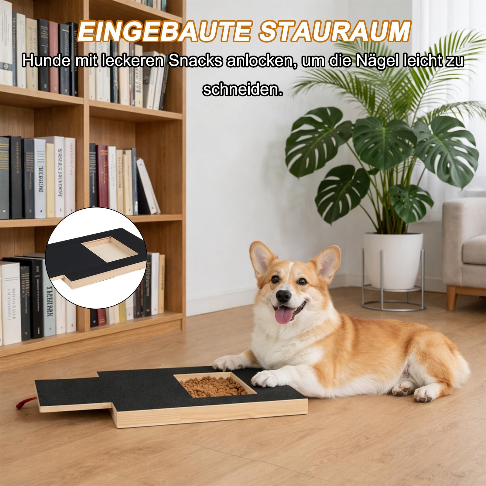 Krallenschleifer für Hunde - 35x25x3cm Kratzbrett Hund mit Leckerlibox, 2 Stücke Schleifpapier, Stressfrei Krallenschleifer für Hundekrallen, Alternative zu Krallenknipsern und -Schleifern für Hunde