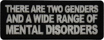 There are Two Genders a Wide Range of Mental Disorders Patch, Funny Saying Patches, Sew or Iron on Patch P7752