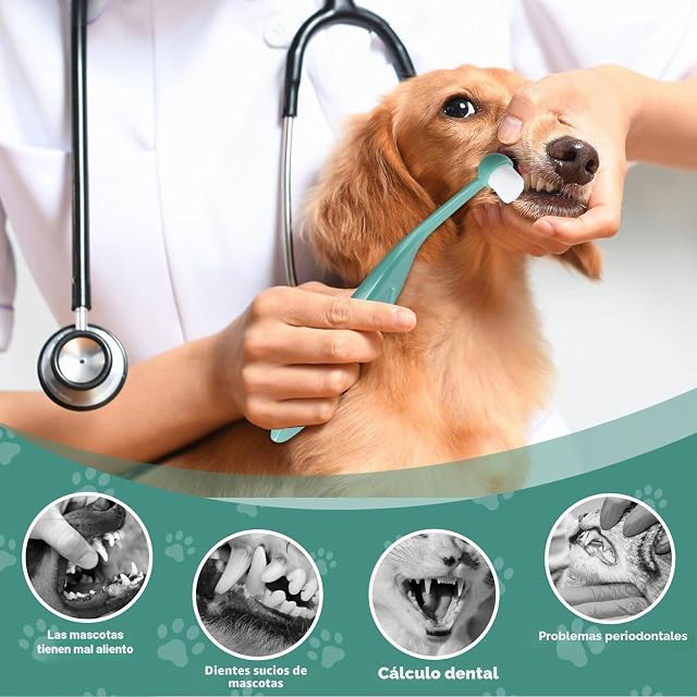 Foto 3 de 7 de 6 Pcs Cepillo Dientes Perro, Juego de Cepillos de Dientes de Doble y Dedo Cabezal para Perros
