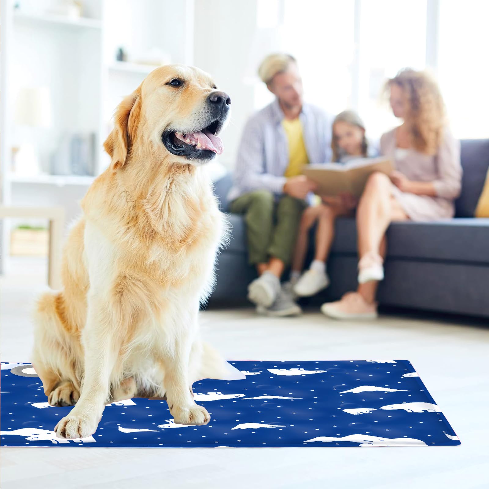 Alfombra Refrescante para Perros Gatos,Mascotas Alfombrilla Autoenfriante,Cama Refrescante Perro Inyección De Agua,Cama Gat Frio Animales Colchon Mascotas para Verano,40x50cm,M,Oso de hielo azul real