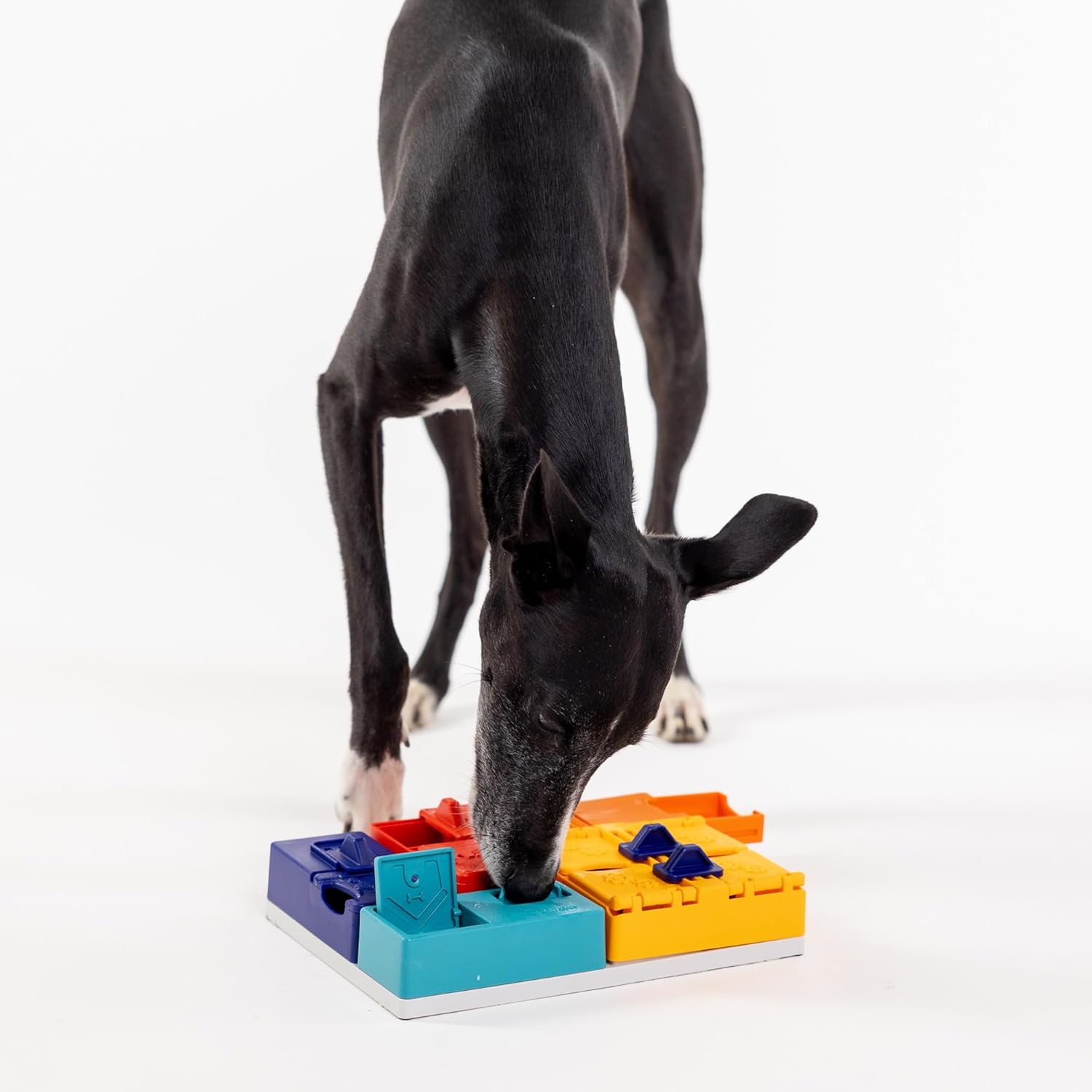 Genius Set Pawzler - Modular Dog Puzzle | Pawzler Interactive Dog Treat Puzzles for Canine Enrichment