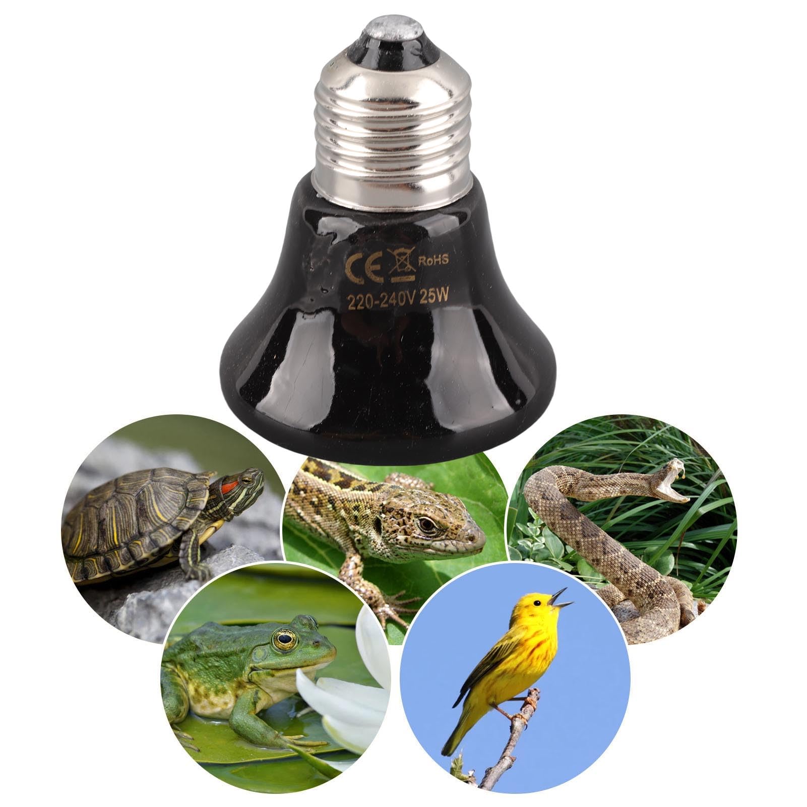 Bombilla De Calor De Cerámica CHICIRIS 25W - Sin Luz, Para Terrarios De Reptiles, Anfibios, Gallineros O Acuarios
