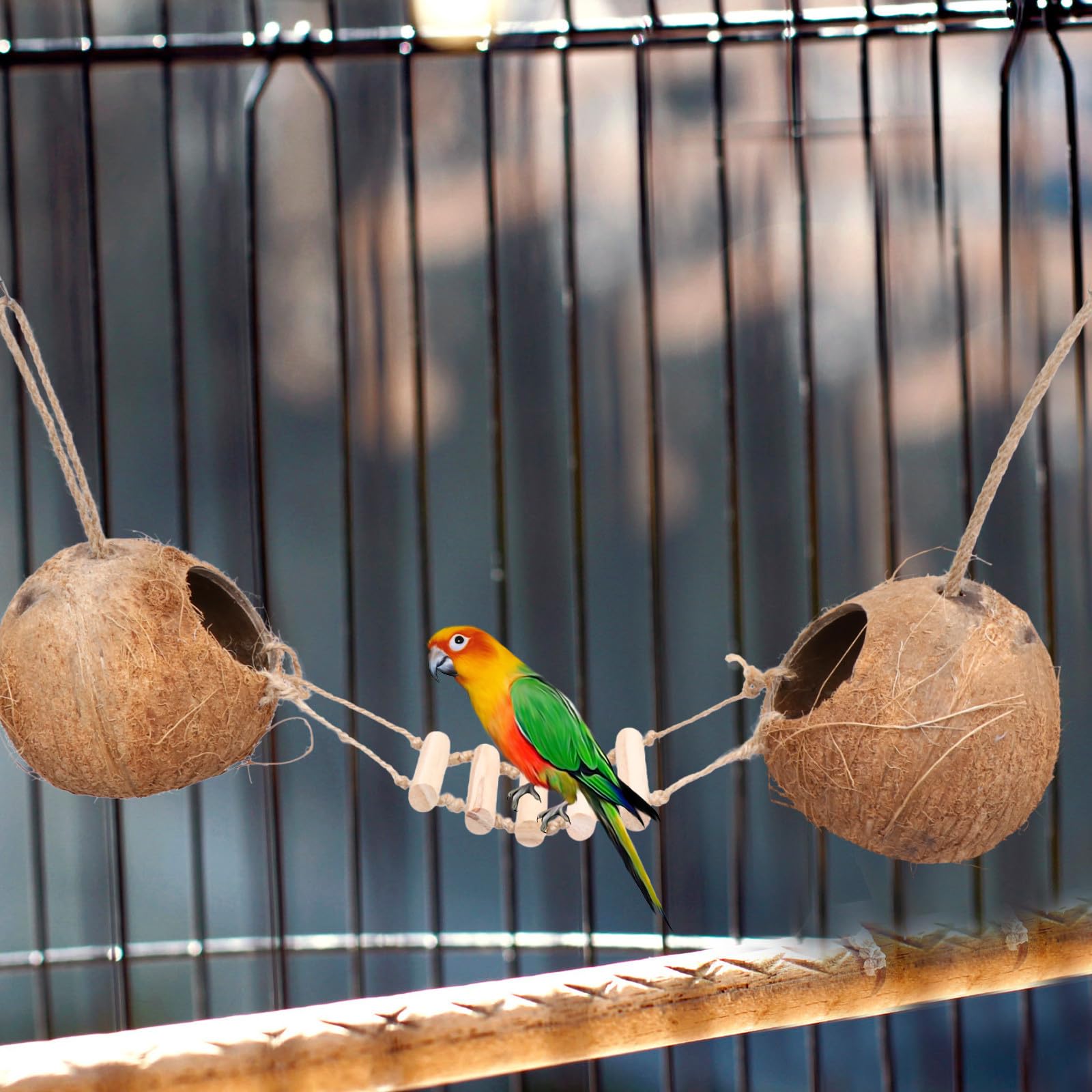 BETOOKY Vogelnest aus Natürlicher Kokosnussschale mit Holzleiter Hängendes Kleintier für Wellensittiche Kanarienvögel und Hamster