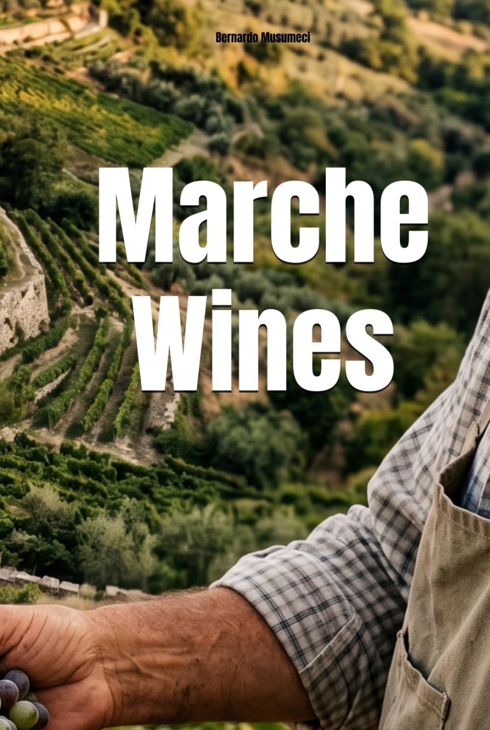 Marche Wines (Wines of the World: Italy)