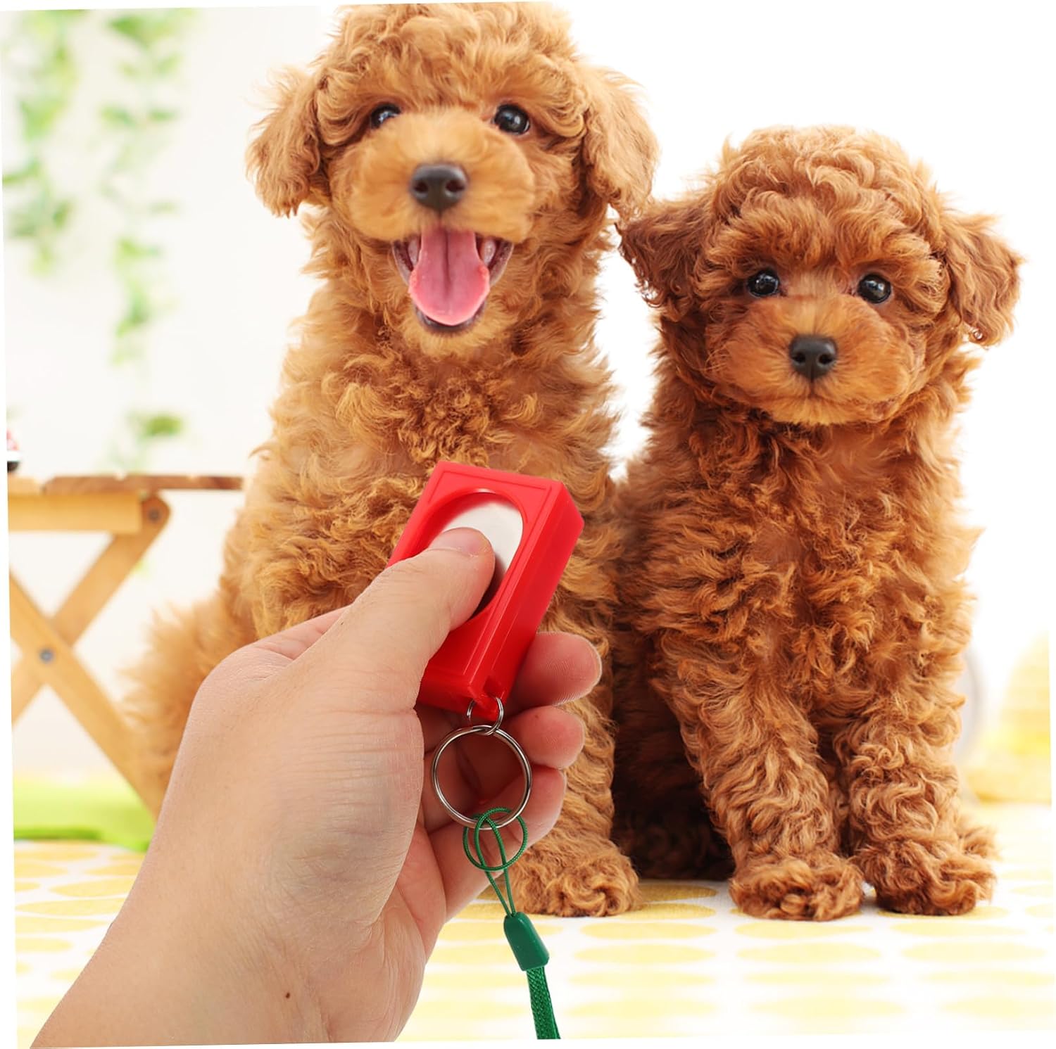 2pcs Pet Training Clickers Portable Dog Training Tool for Behavior Correction Compact and Use Clicker for Cats and Dogs Potty and Obedience Aid