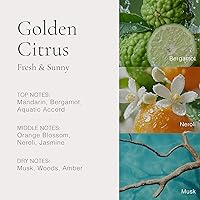 Vista 3 de CLEAN H2EAU Fragrance Discovery Gift Set, Travel Mini Size, Water-Based Layerable Daily Perfume, Cruelty-Free, Ethyl Alcohol, Phthalate & Paraben