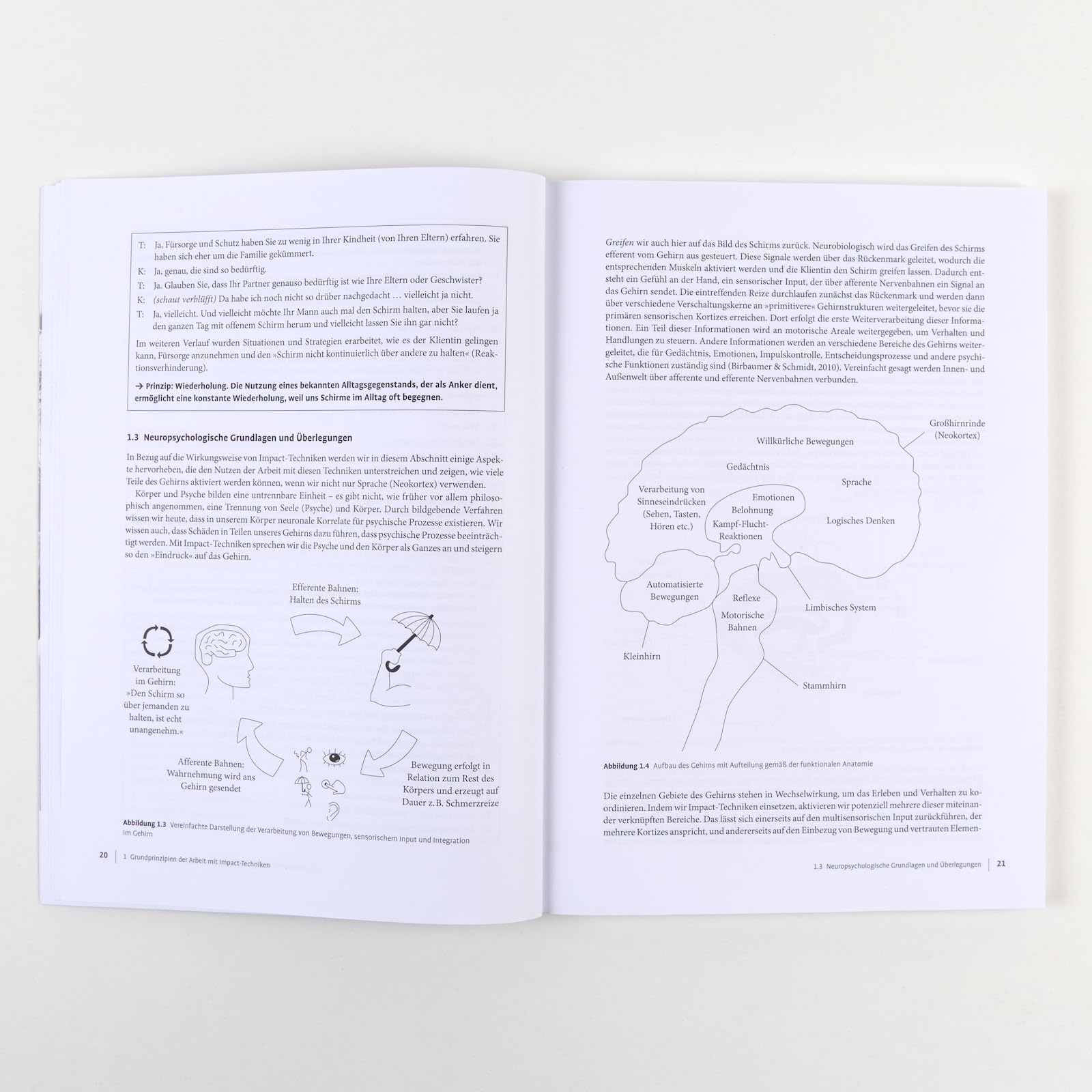 Therapie-Tools Impact-Techniken im Einzelsetting: Mit Online-Material (Beltz Therapie-Tools)