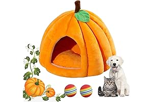 Pumpkin Cat House for the Spookiest Sleep