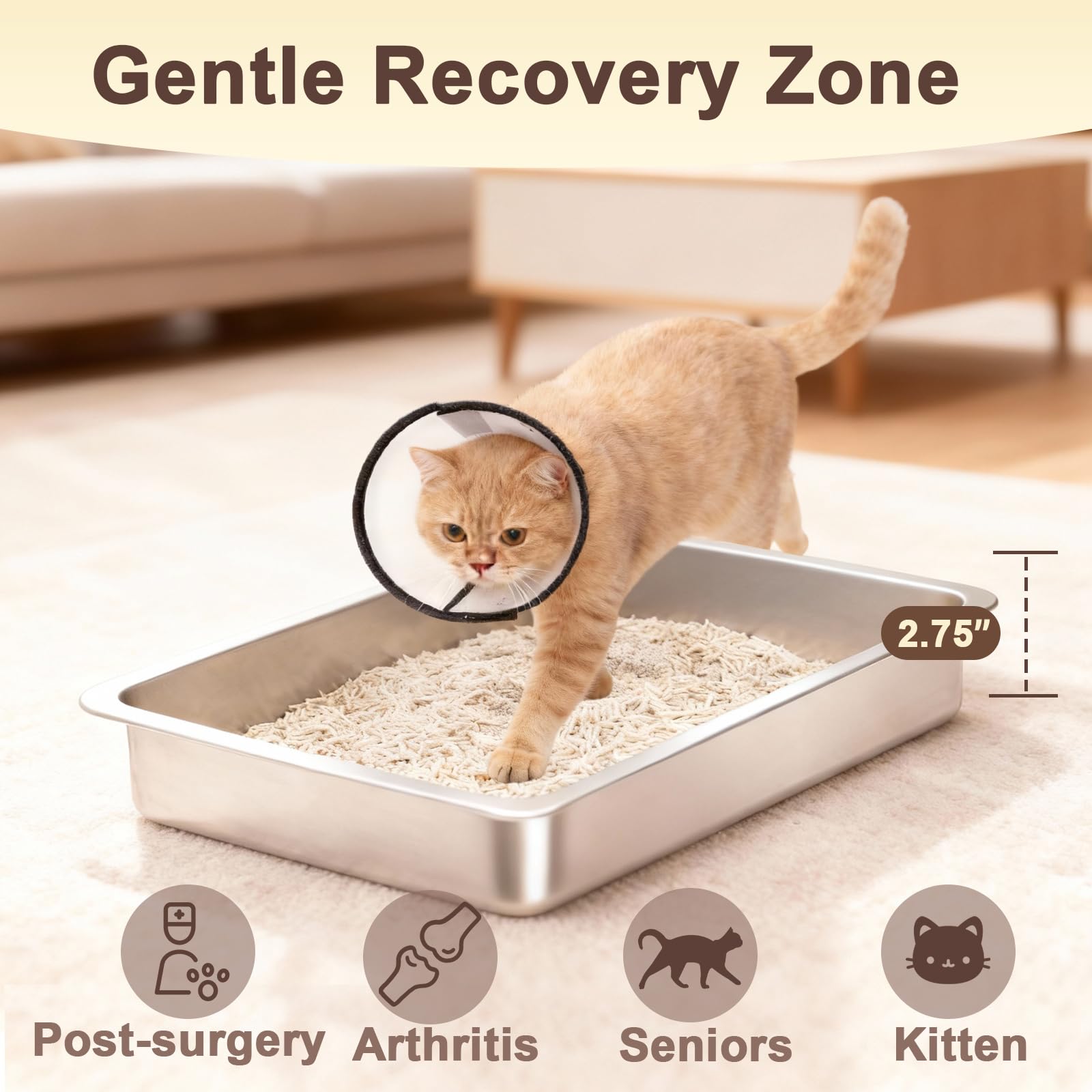 Lettiera per gatti anziani in acciaio inox, con ingresso basso, grande lettiera in metallo poco profonda, facile accesso, 40 cm x 35 cm x 7 cm (lunghezza x larghezza x altezza)
