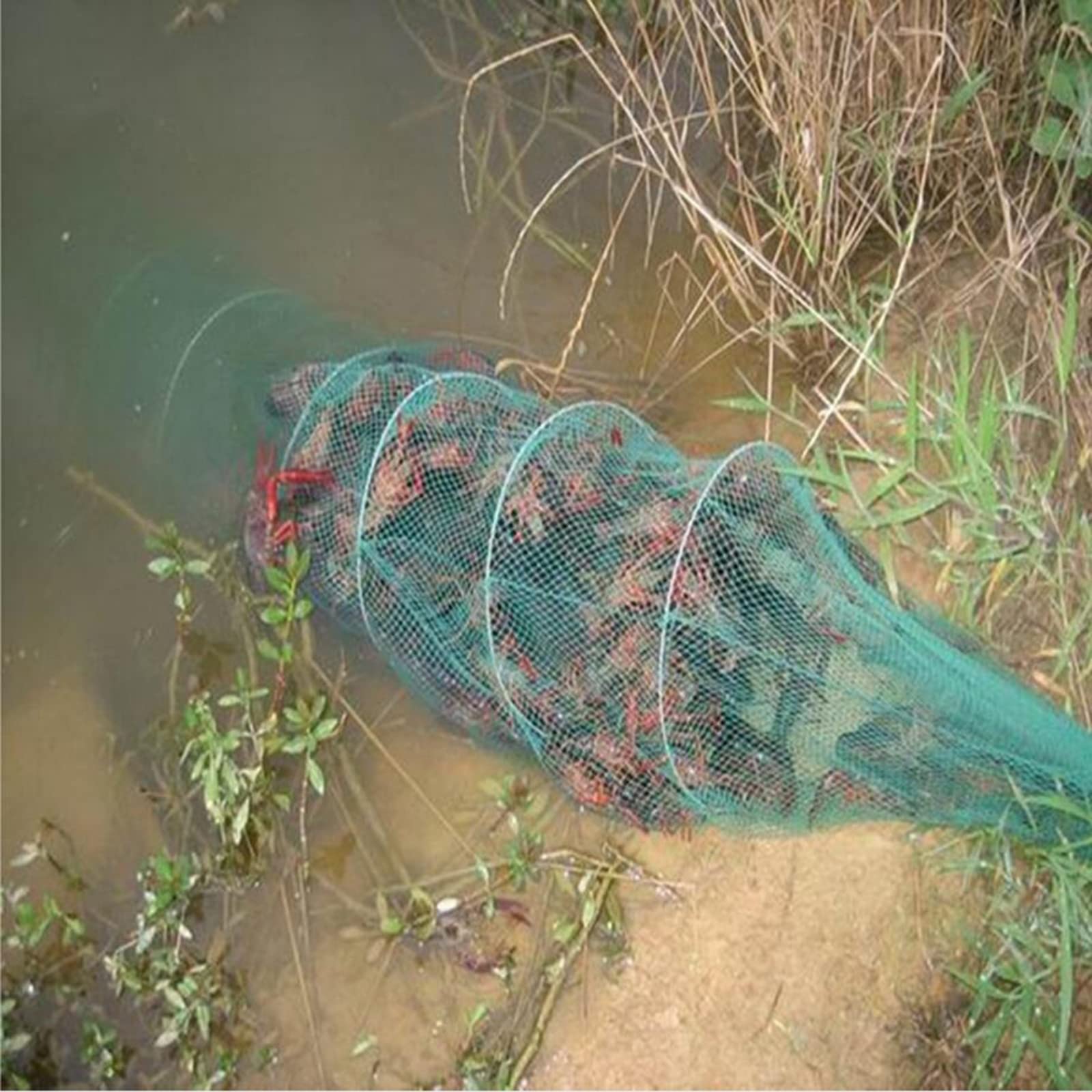 Piège à Appâts De Pêche Plié, Filets à Lancer Pour Appâts De