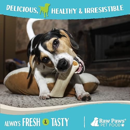 Miniatura 6 de Raw Paws Huesos de fémur rellenos de mantequilla de maní de 5-6 pulgadas para perros, 4 unidades, huesos rellenos para perros grandes y medianos,