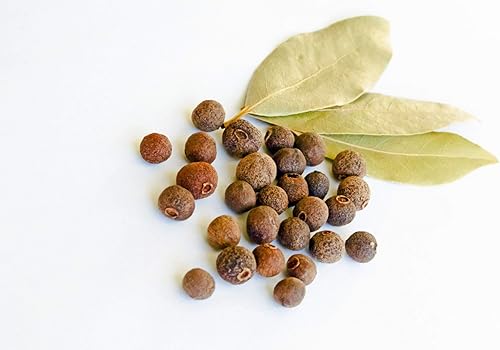 Pimienta de Jamaica 10 SemillasBerry Ornamental Evergreen -Allspice I Contenedor o Jardinería al aire libre Pimenta dioica