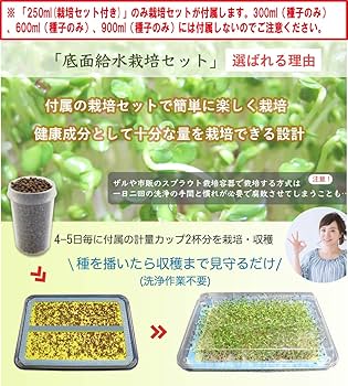 Amazon.co.jp: ブロッコリースプラウト種子 600ml(種子のみ