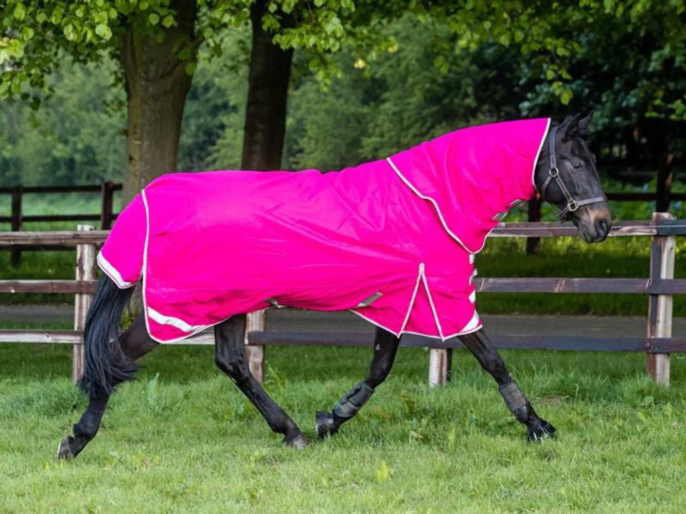 Swish Equestrian 50g Detachable Neck Turnout Rug - Pink Turnout Rug 1200denier