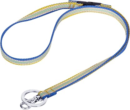 Blueberry Pet 3M Reflective Multi-colored Stripe Ginger and Blue Men Women Fashion Non Breakaway Lanyard Keychain for Keys/ID Card/Badge Holder, 1/2 Wide