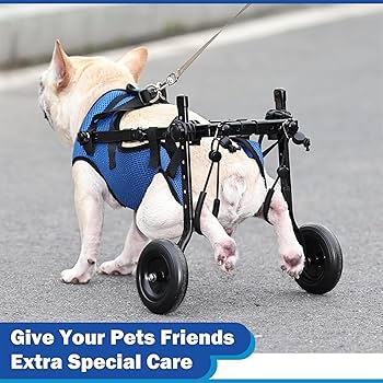 ペット用後足サポート車椅子 青 Amazon.co.jp: 犬 サポーター 後ろ足 脱臼 調節可能なペット用