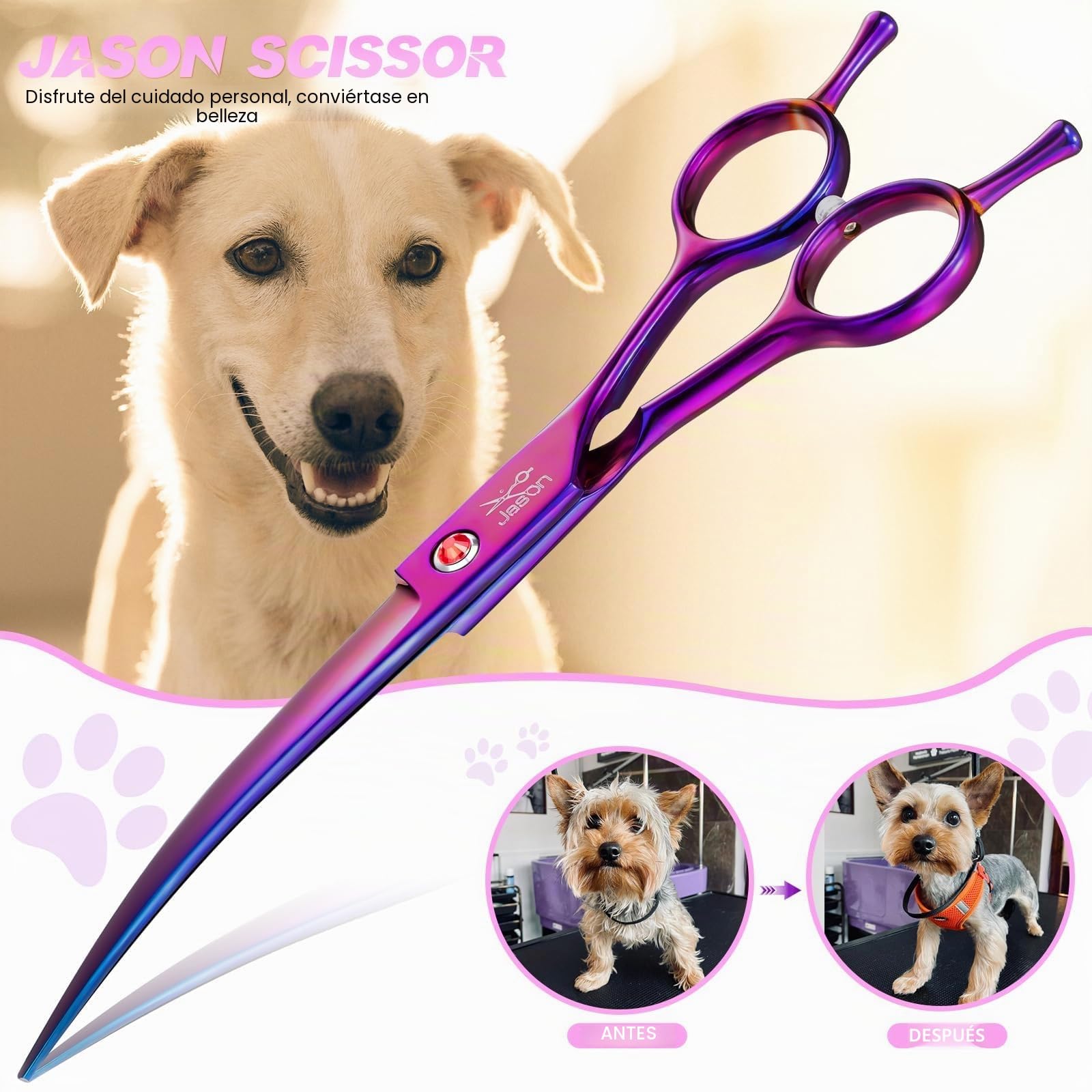 JASON Profesional curvada tijeras para perros - 7.5" tijeras de peluquería canina de acero inoxidable japonés tijeras de peluquería de mascotas tijeras para perros gatos (curvada hacia abajo, púrpura)