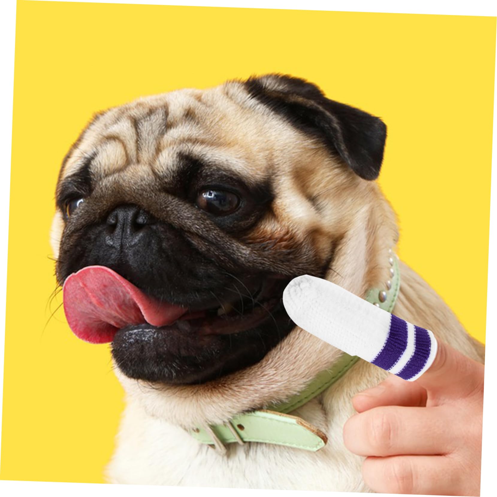 Kisangel 30stücke Nylon Zahnpflege Fingerwipes Für Hunde Sanfte Zahnreinigung Für Katzen Und Hunde Aller Fördert Frischen Atem Und Gesunde Zähne