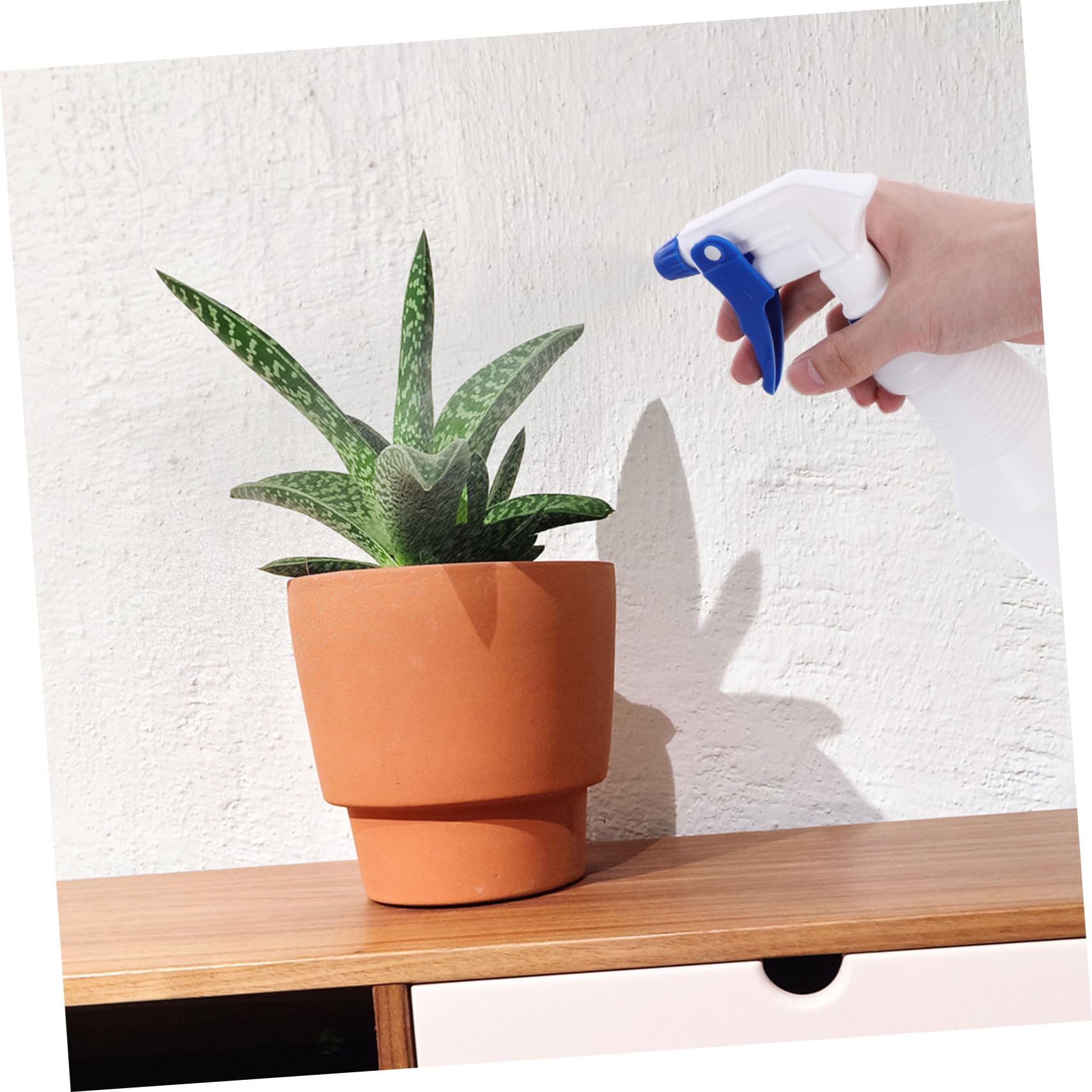 Baluue Bottigliette Spray in Plastica Pe 8 Pezzi da 750ml, Spray Ricaricabile per Parrucchieri, Facile da Usare e Risparmio di Lavoro, per Annaffiare Piante e Saloni di Colore Casuale