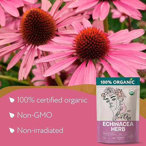 Miniatura 3 de Zhivana Organics - Té de equinácea orgánico 10 onzas, hierba de Echinacea Purpurea en hoja suelta, orgánica, té para fortalecer las defensas del