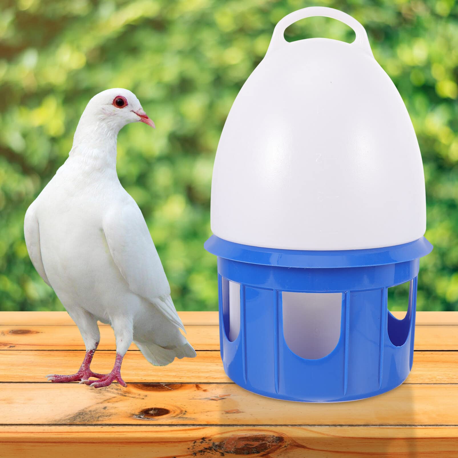 POPETPOP Vogeltränke für Tauben Zimmervogeltränke Taubentränke mit Konstantem Wasserstand Einfacher Reinigung für Papageien und Andere Vögel