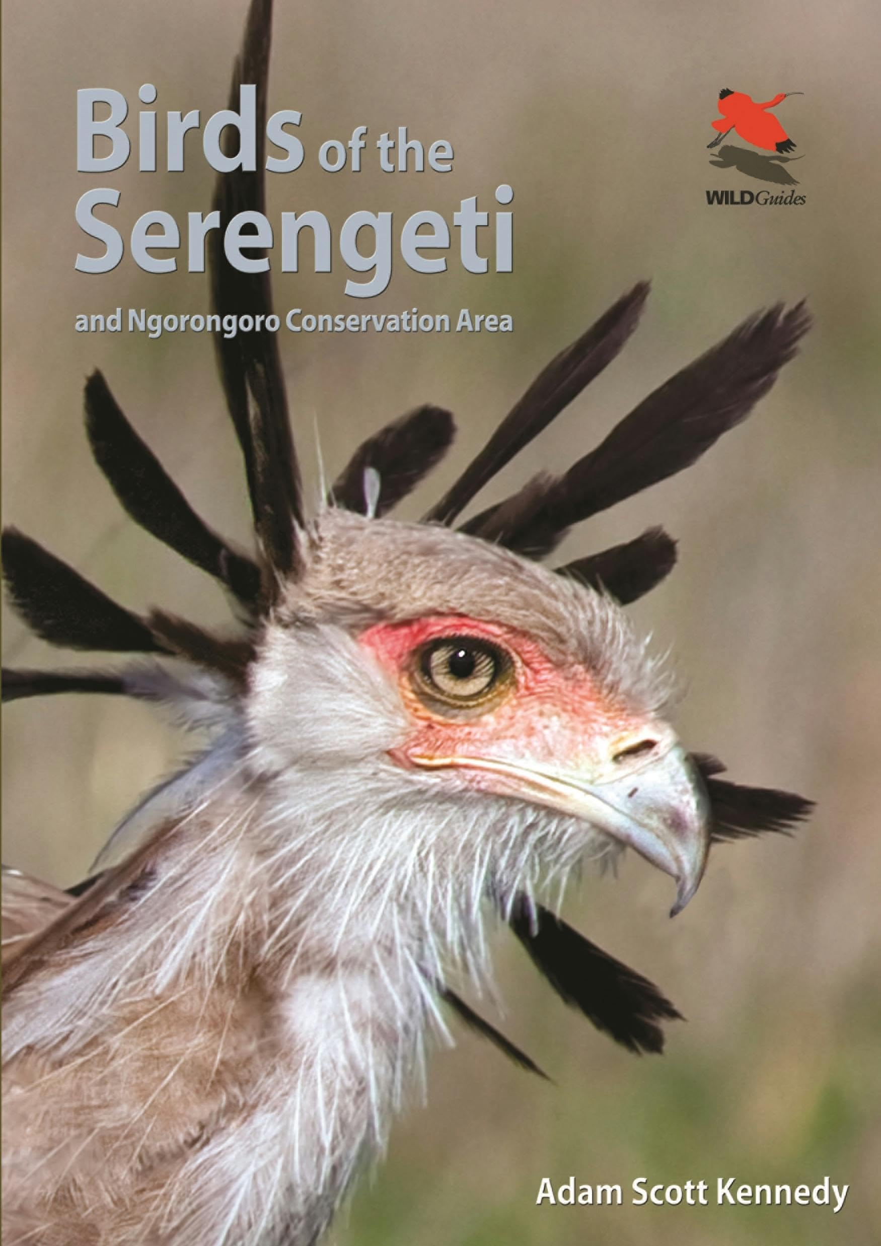 Birds of the Serengeti – And Ngorongoro Conservation Area (Wildlife Explorer Guides)