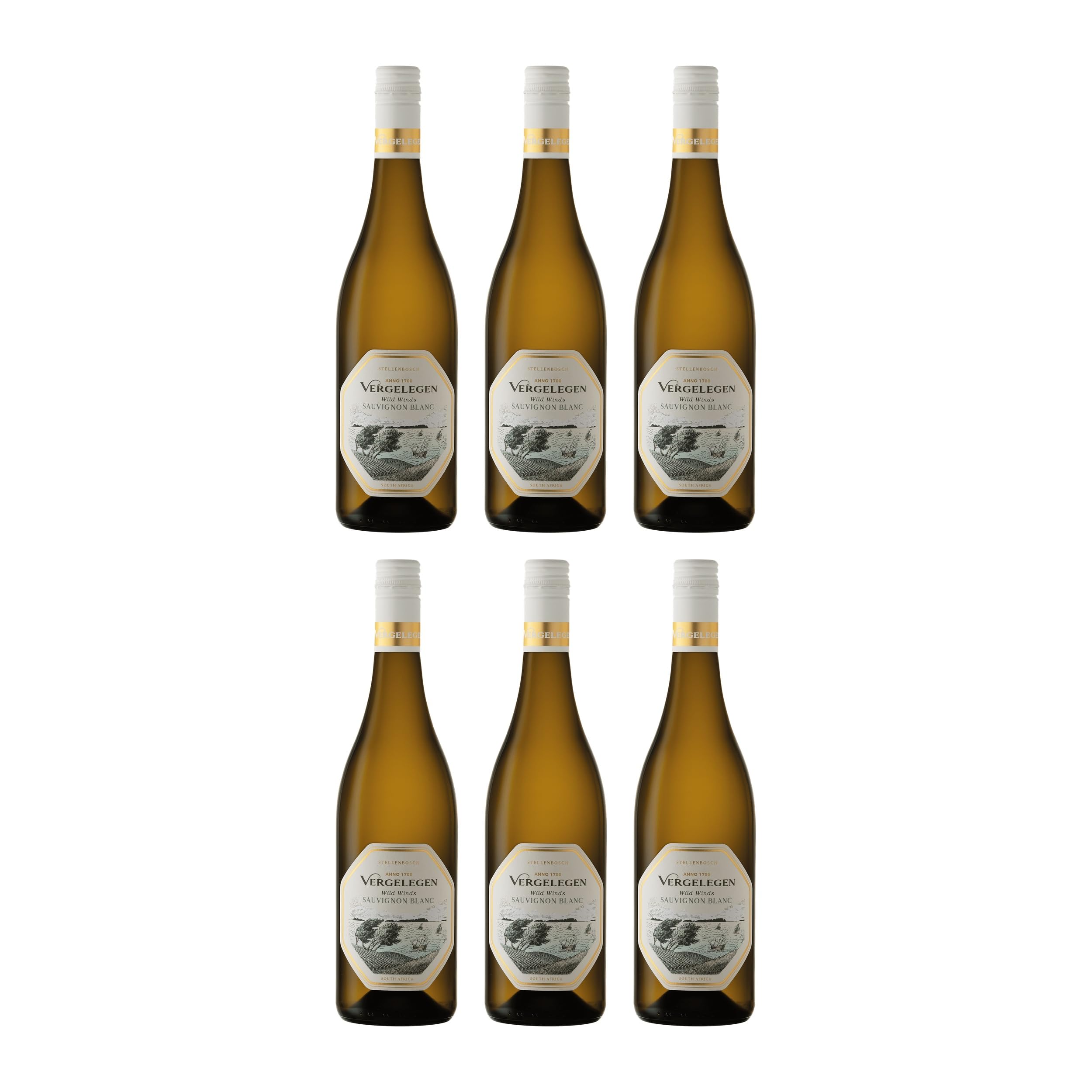 Vergelegen Wild Winds Sauvignon Blanc trocken Weisswein Südafrika inkl. FeinWert E-Book (6 x 0.75 l)