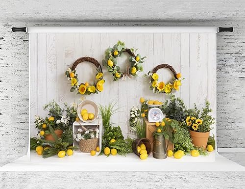 Kate Fondo de limón de verano, limonada, tema de frutas, pastel, fotografía, fondo, decoración de fiesta, 7 x 5 pies