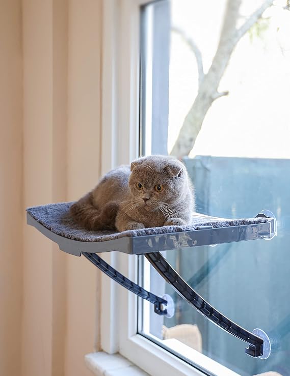 Yeni Model Cam Ve Duvar İçin Kedi Yatağı Vantuzlu
