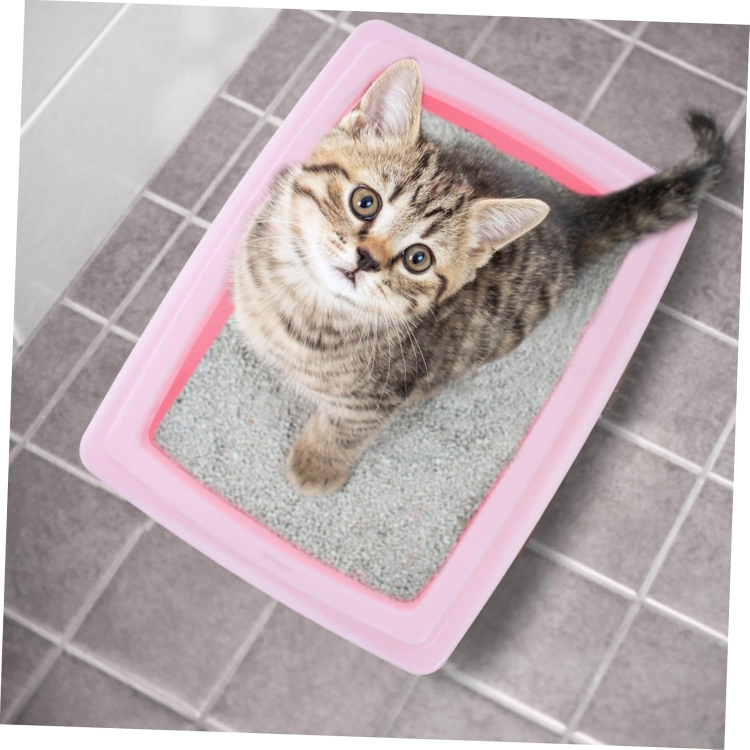 balacoo Cat Litter Box with Scoop Semi-Enclosed Design for Kittens and Adult Cats Easy Potty Tray Splash-Resistant Plastic for Indoor Use