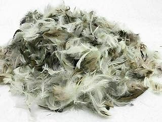 Willco Direct Hollowfiber Filling Polyester Hypoallergenic/Duck Feather Toy Stuffing or Filling for Cushions, Pillows, Pads, Dog beds, Upholstery, Craft, Soft Furnishings (Duck Feather, 5kg)